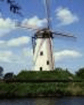 Move_To_Netherlands